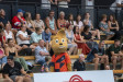 Organizátoři evropského šampionátu představili volejbalovým fanouškům maskota. Veverku jménem Ace