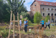 Otevřená zahrada ve Vysokém Mýtě ožila novou výsadbou Otevřená zahrada ve Vysokém Mýtě ožila novou výsadbou
