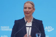 AfD zvažuje nový plán pro Evropu. Dexit ustupuje do zálohy AfD zvažuje nový plán pro Evropu. Dexit ustupuje do zálohy
