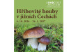 Hřibovité houby v jižních Čechách Hřibovité houby v jižních Čechách