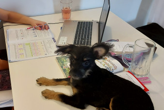 Bezpečnost našich dat a systémů není samozřejmost