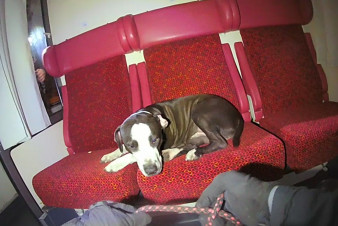 České Budějovice: Strážníci řešili případ psa v odstaveném vagonu