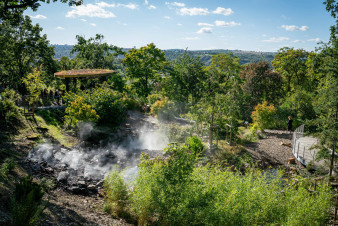 Botanická zahrada Praha vstupuje do roku 2026 s novými projekty
