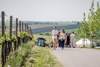 Májové zážitky s vínem aneb kam vyrazit za degustací