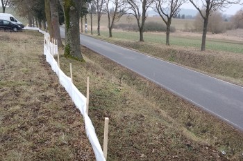 Migrační bariéry na Písecku zachytily tisíce obojživelníků