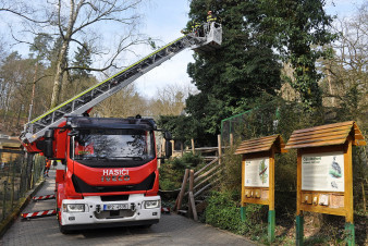 V Zoo Děčín proběhl netradiční hasičský výcvik