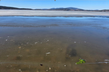 Lipno mělo stejnou koncentraci sinic jako produkční rybníky v létě