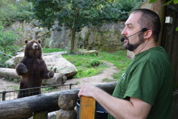 Léto v Zoo Děčín: Zábava, zážitky a zvířata po celé prázdniny