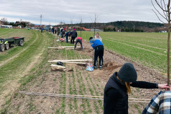 Nadace ČEZ a 40 nových lip v obci Příčina