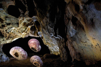 Speciální archeoprohlídky představí historii Kateřinské jeskyně