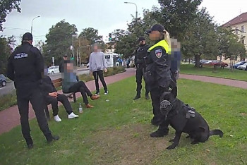 Potyčku ukončila hlídka městské policie se služebním psem