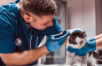 Karlovarský kraj plánuje zajistit novou veterinární ordinaci