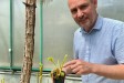 Botanická zahrada Liberec: Den botanických zahrad a oslava včel Botanická zahrada Liberec: Den botanických zahrad a oslava včel