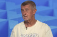 Za premiéra by chtěl Babiše téměř každý druhý Čech