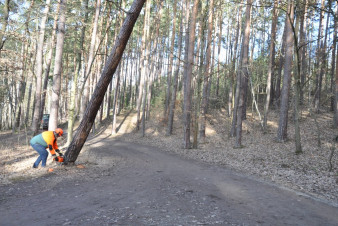 V plzeňských městských lesích začala zimní údržba