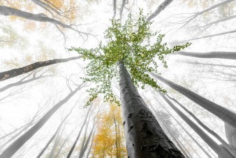 Páté výročí zápisu Jizerskohorských bučin na Seznam UNESCO