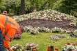 Hradec rozkvete desetitisíci letničkami