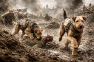 Kdy a proč se psi stali vojáky a hrdiny první linie