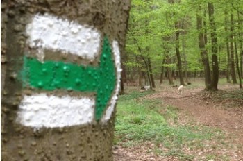 Kraj přispěje turistům, na značení tras dá 600 tisíc korun