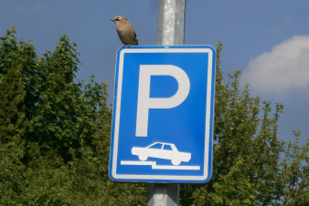 Ve Skvrňanech vzniknou nová parkovací místa, přípravy začínají