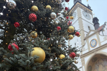 Olomoucké vánoční trhy darují obyvatelům živé vánoční stromky