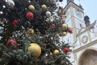 Olomoucké vánoční trhy darují obyvatelům živé vánoční stromky