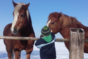 Kraj podpoří exkurze zaměřené na environmentální výchovu Kraj podpoří exkurze zaměřené na environmentální výchovu