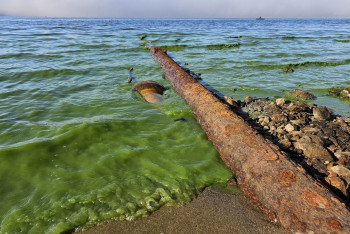 Biologové zmapovali odpadní výpusti na Lipně