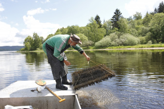 Lipenští candáti dostanou hnízda z kominických štětek