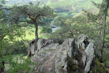 Na Vysočině přibydou dvě nová chráněná území