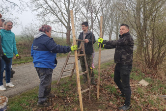 V Lipové na Chebsku obnovují aleje podél místních cest
