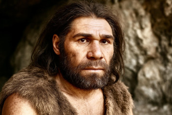 Mozek jako Homo sapiens a kultura dlouhá tisíciletí