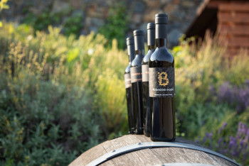 Botanická zahrada Praha se chystá na srpen Botanická zahrada Praha se chystá na srpen