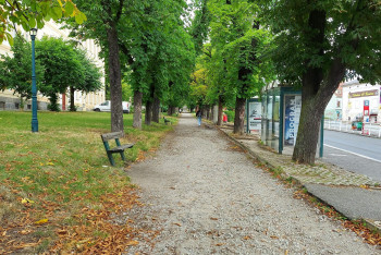 Další etapa revitalizace Jiráskových sadů začíná Další etapa revitalizace Jiráskových sadů začíná