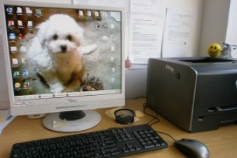 Kyberkriminalita v Karlovarském kraji roste