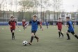 Hodně papírování, výsledky mizivé. Český sport v problémech Hodně papírování, výsledky mizivé. Český sport v problémech