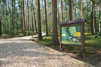 Hradecké městské lesy zkrášlí další vyřezávané sochy