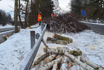 ŘSD při zimní údržbě prořezává stromy, které by mohly ohrozit provoz