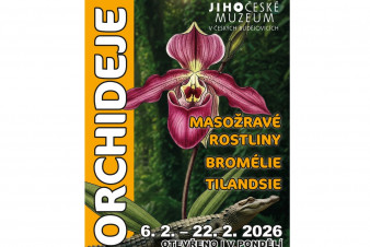 Jihočeské muzeum: Orchideje, masožravé rostliny, bromélie,...