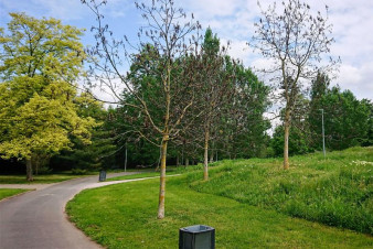 Severní terasy a Žižkovy sady v centru města čeká jarní úklid