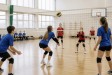 Kdo skutečně řídí český sport. Vláda, nebo úředníci?