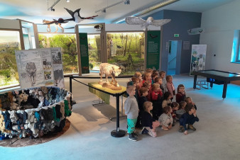 Vlci se objevují i v Moravském krasu, ukázalo mapování