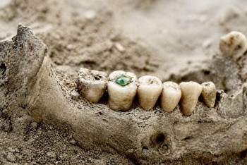 Mayská stomatologie šokuje. Zuby zdobili jadeitem