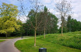 V hradeckých Kuklenách vzniká park pro sport a relaxaci